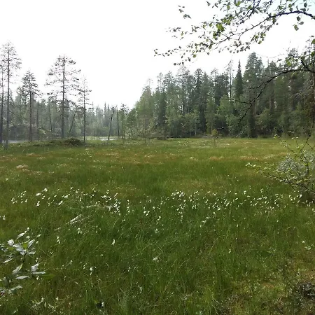 Salmikankaankelo C4 * Ruka