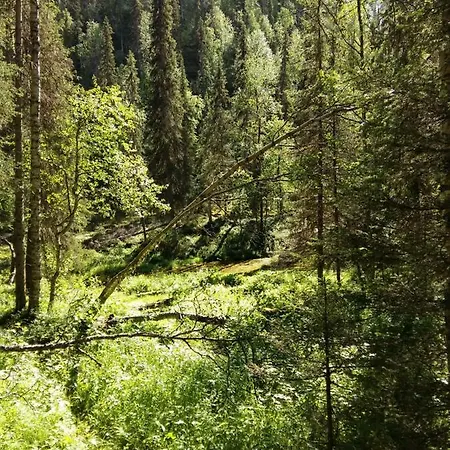 Salmikankaankelo C4 * Rukatunturi