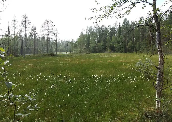 Salmikankaankelo C4 * Ruka